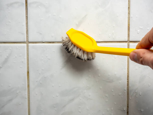 Mold Testing and Removal in North Babylon, NY