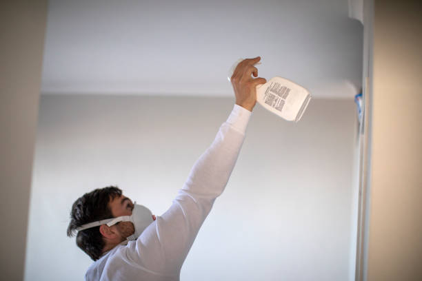 Best Attic Mold Removal  in North Babylon, NY